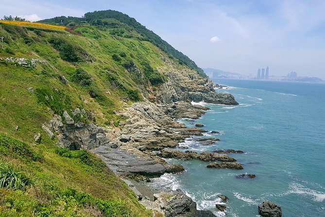 Full Day Busan Tour Including Haedong Yonggungsa Temple - Pickup, small-group vibes, and how the day moves
