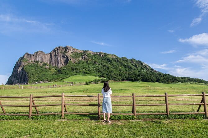 Full-day Customizable Private Jeju Island Tour - Key Highlights You’ll Actually Feel in Your Day