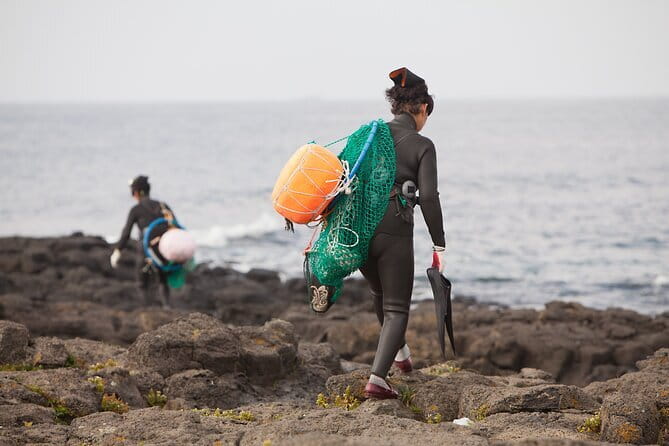 Full-day Customizable Private Jeju Island Tour - Daepo Haean Jusangjeolli: Seeing Art Made by Nature