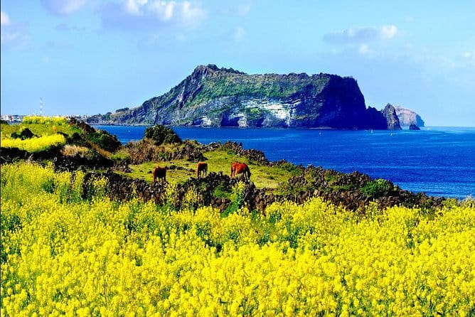 Full-day Customizable Private Jeju Island Tour - Oedolgae: A Lone Rock Pillar With Sea Power