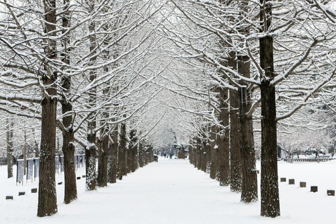 Full-Day Customizable Private Tour to Nami Island and surrounding Area - Petite France first: a quick cultural stop before Nami Island