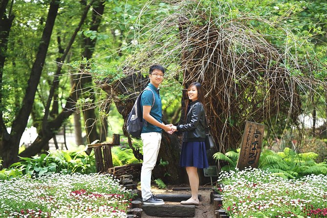 Full-Day Customizable Private Tour to Nami Island and surrounding Area - Nami Island: Winter Sonata vibes and an easy walking rhythm