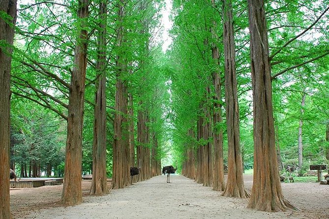 Full-Day Customizable Private Tour to Nami Island and surrounding Area - Strawberry farm time: a hands-on stop that feels local and fun