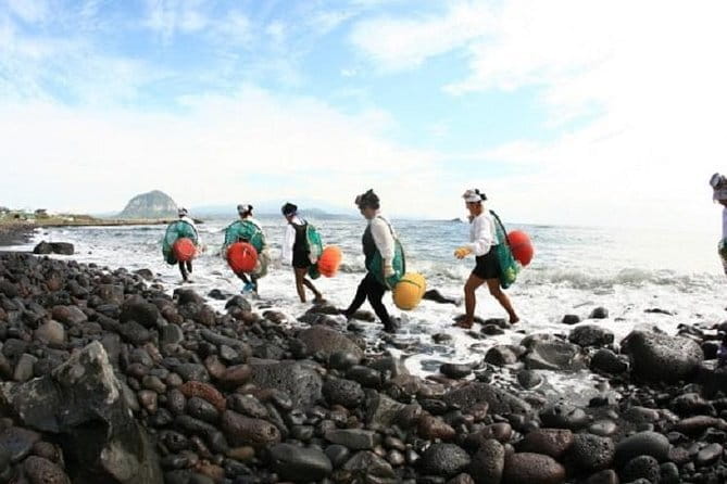 Full Day Jeju Private Customizable highlight Tour - Getting picked up, moving fast, and staying sane for 8 to 11 hours