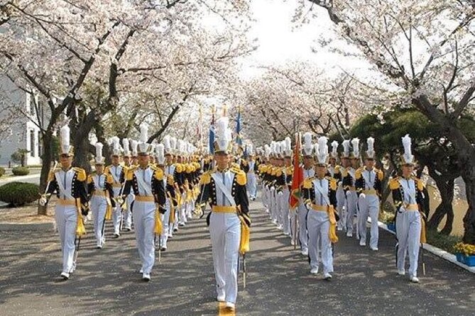 Full-Day Jinhae Cherry Blossom festival Private tour - The Cherry Blossom Route, Stop by Stop