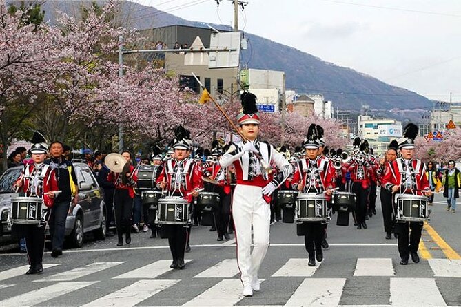 Full-Day Jinhae Cherry Blossom festival Private tour - Choosing a Guide or Going Independent