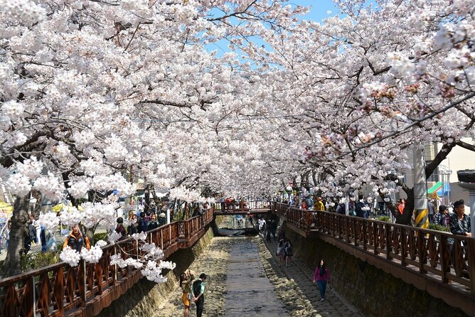 Full-Day Jinhae Cherry Blossom festival Private tour - Transport Day Comfort: The Small Vehicle Advantage