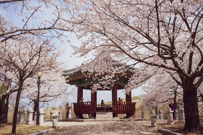 Full-Day Jinhae Cherry Blossom festival Private tour - Meals and Energy: What You Need to Plan Yourself