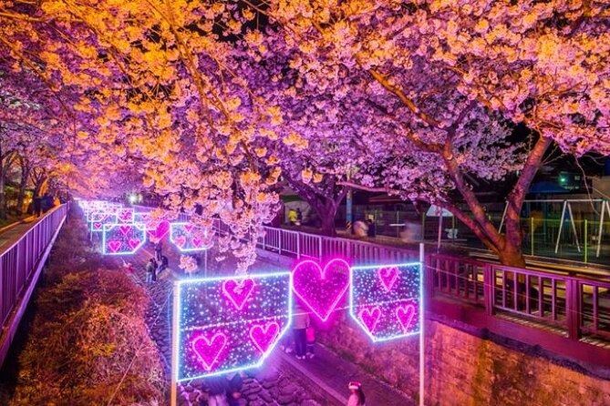 Full-Day Jinhae Cherry Blossom festival Private tour - Getting Started: Busan Pickup and the Morning Flow
