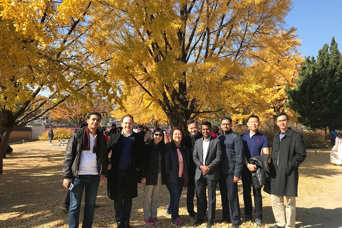 [ Full Day ] Nami Island & Petit France From Seoul - Should you book this Nami Island and Petit France tour from Seoul?