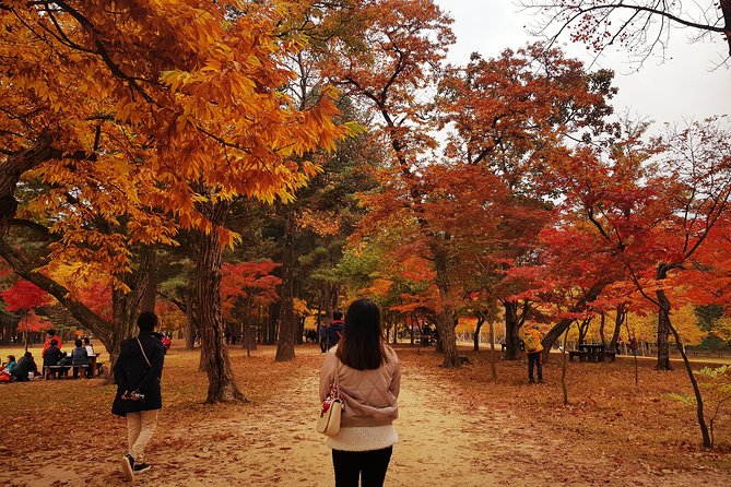 [ Full Day ] Nami Island & Petit France From Seoul - Petit France for 2 hours, a French-style village in South Korea