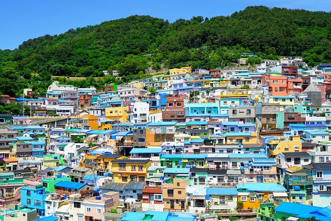 Full Day Private Busan Highlight Tour with Licensed Guide - Busan Tower and BIFF Square: city views plus film culture