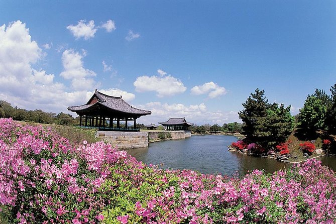 Full day Private Gyeongju UNESCO Heritage Tour : a glimpse into Silla - Daereungwon tomb complex and Chemseongdae: royal power and star-gazing