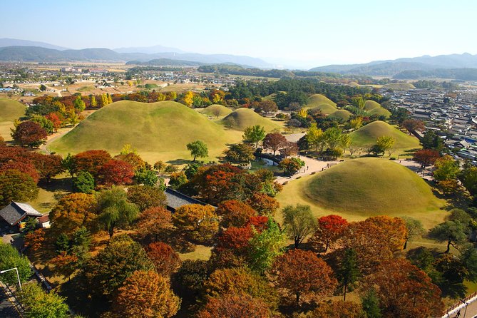 Full day Private Gyeongju UNESCO Heritage Tour : a glimpse into Silla - Gyeongju National Museum: relics that make the day feel real