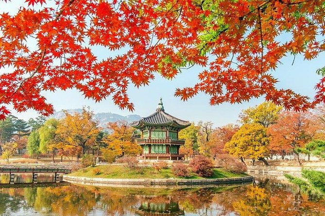Full Day Private Seoul Tour for foodies - Gyeongbokgung Palace and Bukchon Hanok Village: where tradition starts
