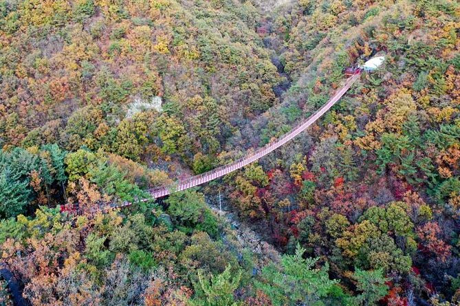 Full Day Private Tour DMZ (The 3rd Tunnel) & Suspension Bridge - The Third Tunnel: Video, Exhibitions, and About 70 Minutes Inside