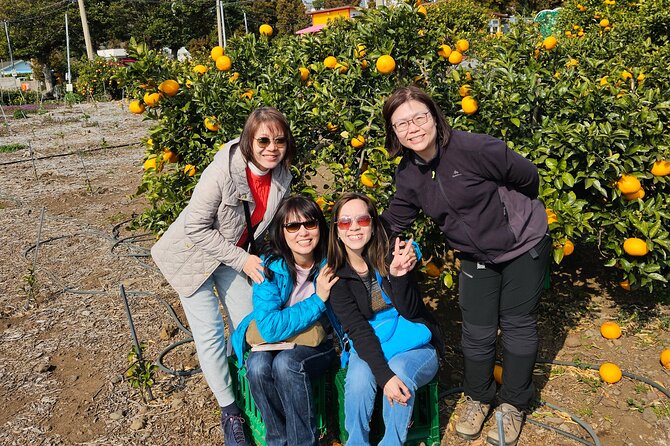 Full-Day Private Tour in Jeju Island - Eoseungsaengak: a light oreum climb with wartime traces on top