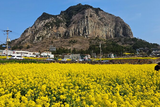 Full-Day Private Tour in Jeju Island - Oedolgae and Hwanguji Coast: promenade strolling with sea-legend vibes