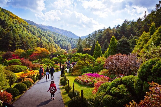 Full Day Private Tour Nami Island, Garden & Petite France - Nami Island: iconic scenery with real photo time