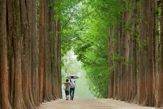 Full Day Private Tour Nami Island, Garden & Petite France - Pinocchio and Da Vinci Italian Village: quirky fun to close the loop