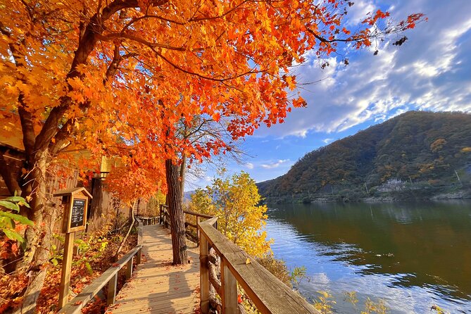 Full Day Private Tour Nami Island, Garden & Petite France - Lunch and comfort: small details that affect the whole day