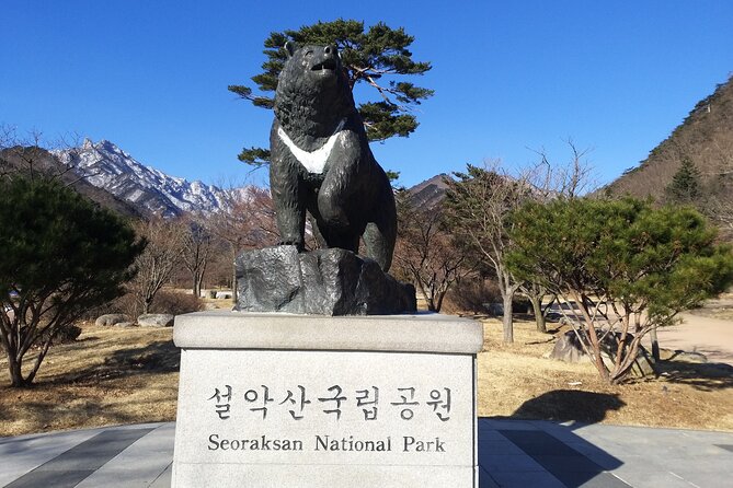 Full-Day Tour in Mt. Seorak & Nami (+Rail Bike Option) - Getting your schedule right: what each stop gives you