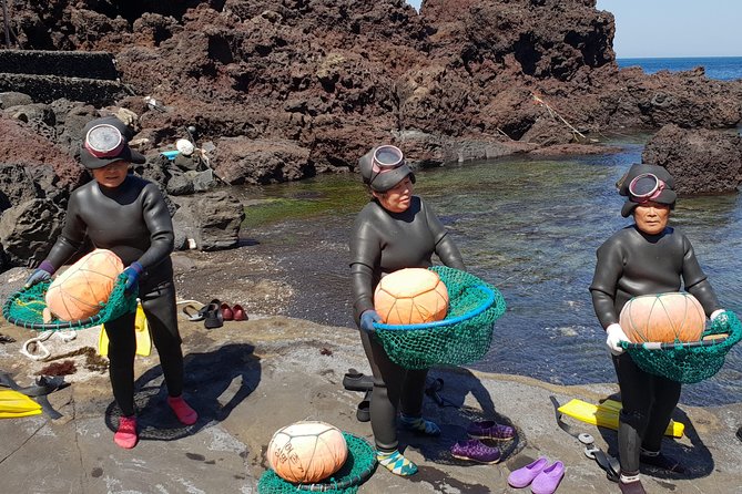 Fully Customizable Private Tour of Jeju Island - Active choices you can scale: Olle trails, tangerines, horseback riding