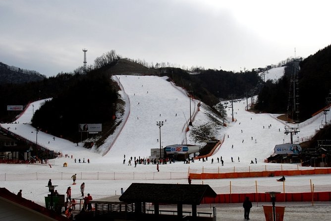 Gangchon Elysian Ski Day Trip from Seoul - If the plan changes: Jisan substitution can happen