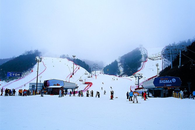Gangchon Elysian Ski Day Trip from Seoul - The drive, the guide, and what “10 hours” usually feels like