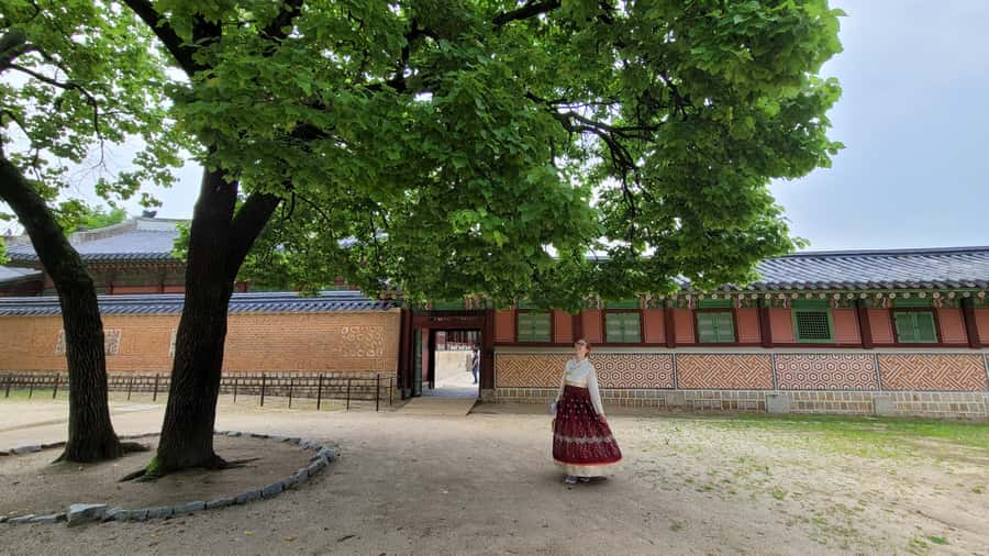 Gyeongbokgung Palace, Jogyesa Temple and Cheongwadae Tour - The Cheongwadae area on foot: a modern contrast you can feel