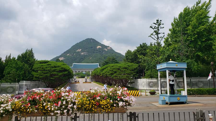 Gyeongbokgung Palace, Jogyesa Temple and Cheongwadae Tour - Gyeongbokgung Palace: more than photos, a guided sense of the Joseon world
