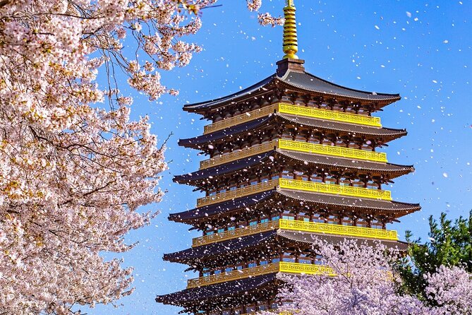 Gyeongju Cherry Blossom Day Tour from Busan (2~3 spring spots) - Key things to know before you go