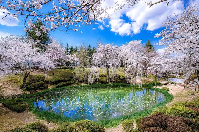Gyeongju Cherry Blossom Day Tour from Busan (2~3 spring spots) - Gyeongju cherry blossoms: why this day trip feels worth the effort