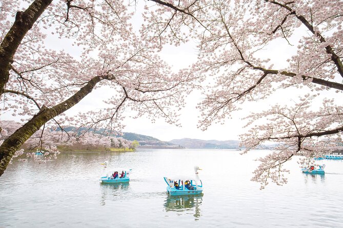 Gyeongju Cherry Blossom Day Tour from Busan (2~3 spring spots) - Guide power: Lucy, Mr. David, Danny, and Bobby