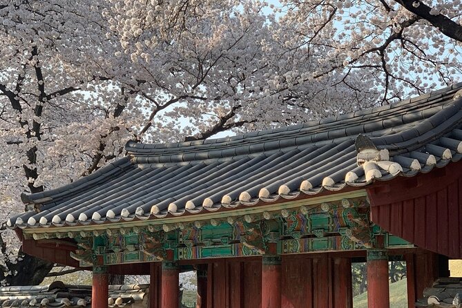 Gyeongju Cherry Blossom Day Tour from Busan (2~3 spring spots) - Price and value: is $55 a fair deal from Busan?