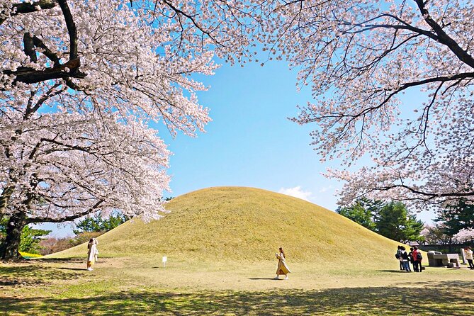 Gyeongju Cherry Blossom Day Tour from Busan (2~3 spring spots) - Pickup to return: what the 9 to 11 hour rhythm actually means for you