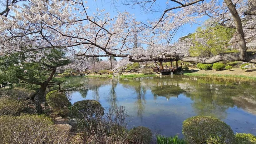 Gyeongju: Private Car Charter Taxi Tour - The classic city loop: 5 hours Bulguksa, Seokguram, Donggung and Wolji, Cheomseongdae