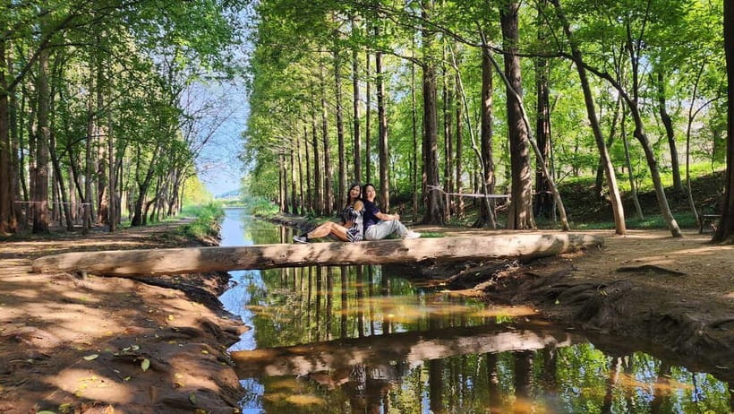 Gyeongju: Private Car Tour with a Licensed Tour Guide - Price and logistics: is $399 per group good value?