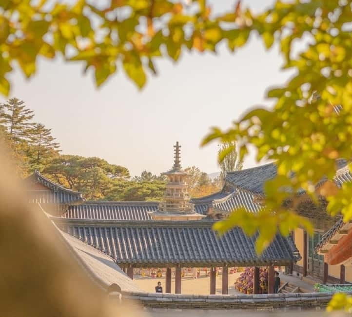 Gyeongju: Private Car Tour with a Licensed Tour Guide - Why a private car and licensed guide changes Gyeongju