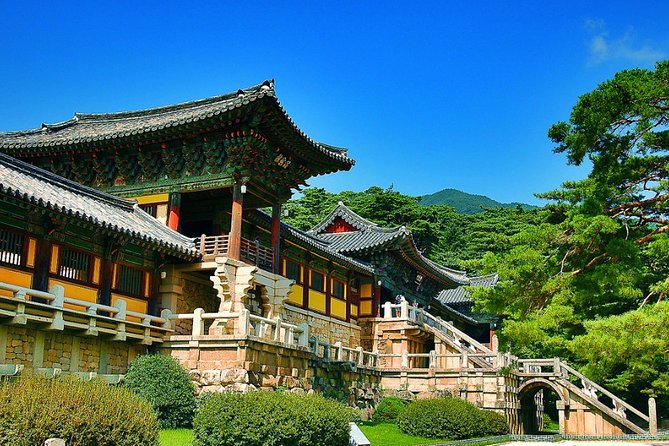 Gyeongju Private Tour with hidden gem by local tour guide - Key Highlights You Should Know Before You Go