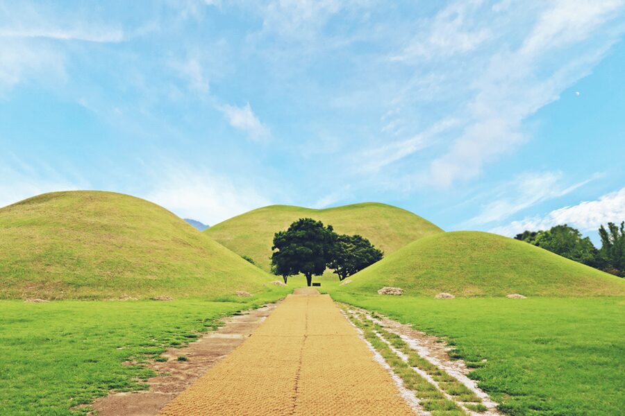 Gyeongju: UNESCO Highlights Tour with Guide and Ticket - Key Things I Would Prioritize