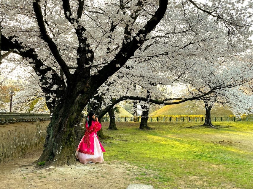 Gyeongju: UNESCO Highlights Tour with Guide and Ticket - Woljeonggyo Bridge, Restored in 2018, With a Unified Silla Story