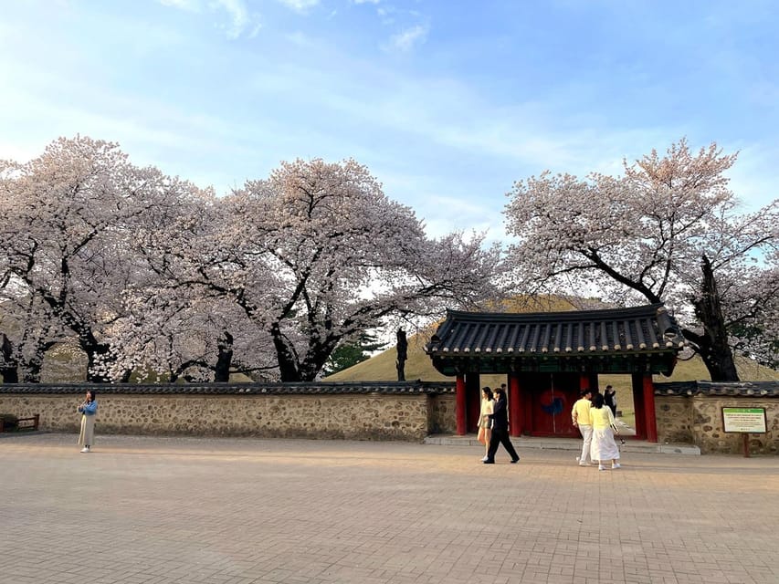 Gyeongju: UNESCO Highlights Tour with Guide and Ticket - Great Hwangnam Tomb: The Photo You Actually Understand