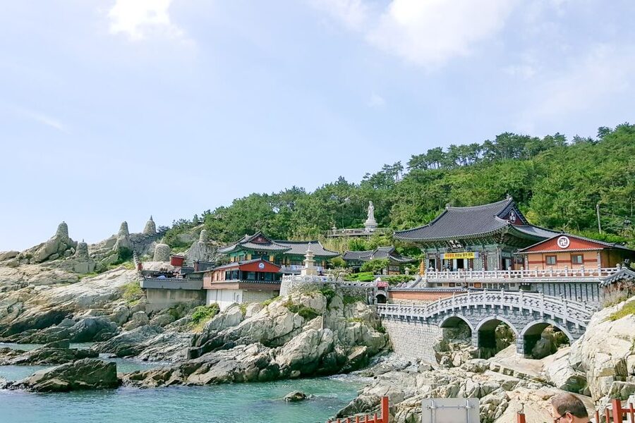 Haedong Yonggungsa Temple, Camellias Island & More - Key things that make this tour worth your time