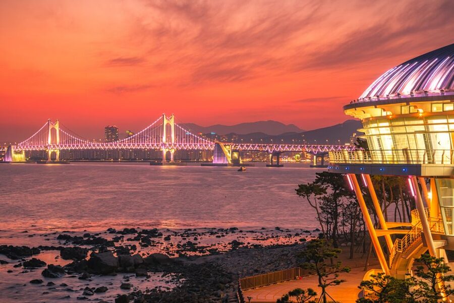 Haedong Yonggungsa Temple, Camellias Island & More - Who Should Book This Tour, and Who Might Not