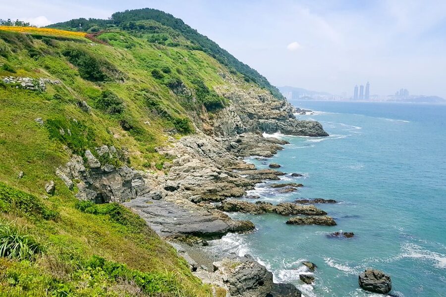 Haedong Yonggungsa Temple, Camellias Island & More - A Smooth Way to See Old and New Busan in 8 Hours