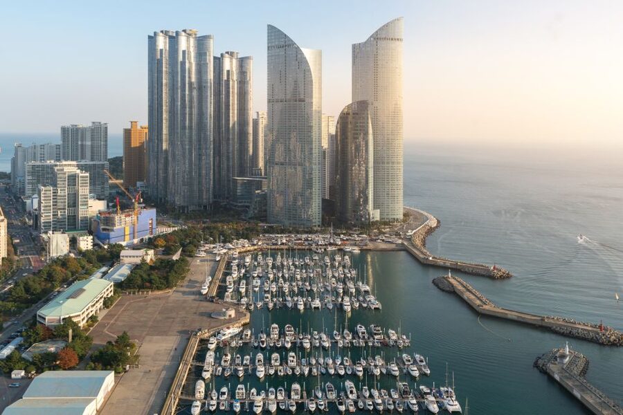 Haedong Yonggungsa Temple, Camellias Island & More - Haeundae Beach and Traditional Lunch: Fuel for the Rest of the Day