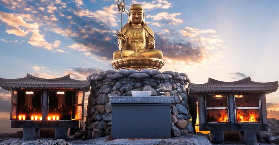 Haedong Yonggungsa Temple, Camellias Island & More - Dongbaek Island, Camellias Island: A Walking Path Made for Photos