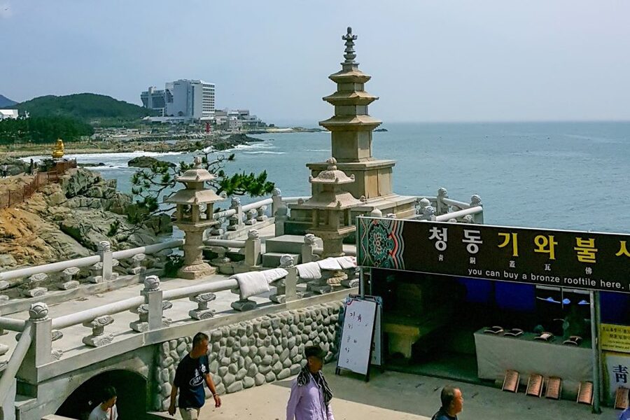 Haedong Yonggungsa Temple, Camellias Island & More - Busan Cinema Center and Centum City: Modern Busan You Can Actually Feel