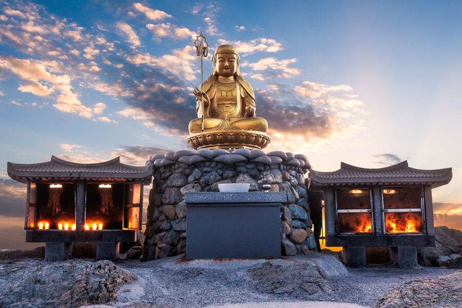 Haedong Yonggungsa Temple, Camellias Island & More - Price and Value: What $160 Buys You Here